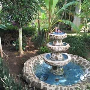  - grupos de apoyo, ayuda contra adicciones