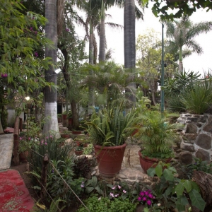  - salud mental, grupos de apoyo