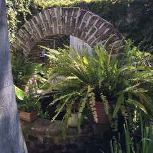  - salud emocional, grupos de apoyo