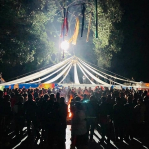  - corazon, vivir libremente