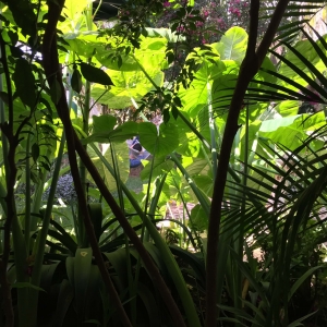  - jalisco, drogadicci&oacute;n