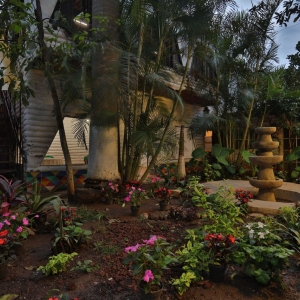  - combatir conductas autodestructivas,tlajomulco