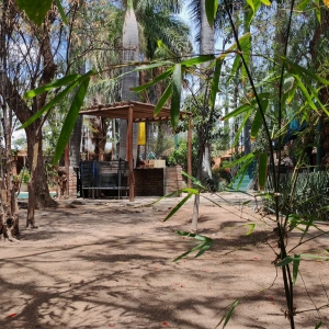  - jaguar, drogadicci&oacute;n