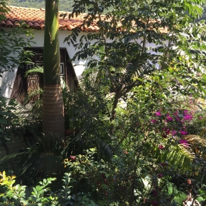  - terapia, grupos de apoyo