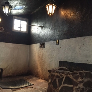  - jalisco, salud emocional