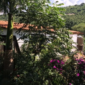  - jalisco, grupos de apoyo