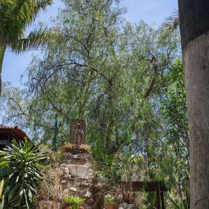  - zapopan, depresion