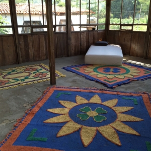  - grupos de apoyo, jaguar