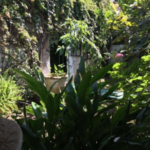  - grupos de apoyo,nuestras instalaciones