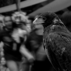  - jalisco, combatir conductas autodestructivas