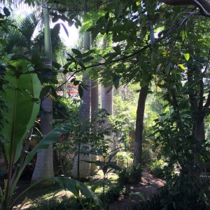  - vivir libremente, depresion