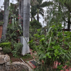  - drogadicci&oacute;n, salud mental