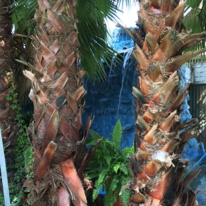  - grupos de apoyo, m&eacute;xico