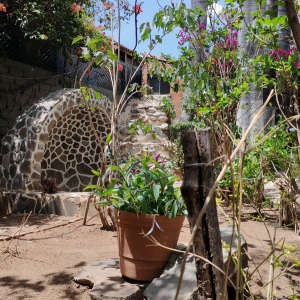  - vivir libremente,tlajomulco