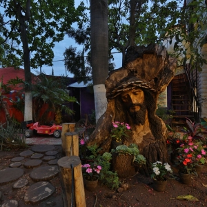  - combatir conductas autodestructivas, anorexia