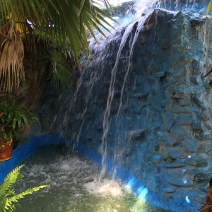  - anorexia,nuestras instalaciones