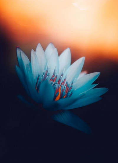 Los 10 beneficios que obtienes al meditar diariamente